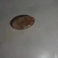 نگین شجر