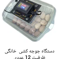 +دستگاه جوجه کشیsadrati0 +بی دردسر