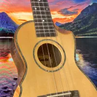 گیتار Ukulele concert