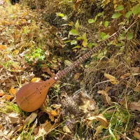 سه تار ریشه گردو فوق العاده زیبا و خاص کلکسیونی