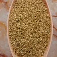 گندم دیم|خدمات باغبانی و درختکاری|آبدانان, |دیوار