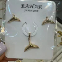پلاک و گوشواره