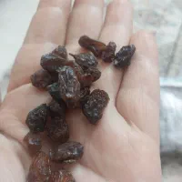 کشمش درجه یک تمیز|خوردنی و آشامیدنی|ساوه, |دیوار