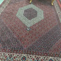 فرش توس مشهد|فرش|زنجان, |دیوار