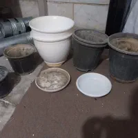 گلدان مسی و پلاستیکی|گل و گیاه طبیعی|تهران, والفجر (افسریه)|دیوار