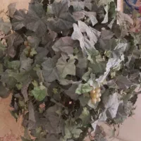 درخت مصنوعی خارجی|گل مصنوعی|تهران, نارمک|دیوار