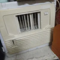 کلر ابی کوچک سالم