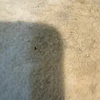 فروش یک قطعه زمین ۵۶۰متری