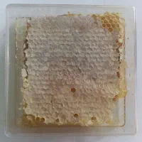 عسل کریستال سراب|خوردنی و آشامیدنی|تهران, مرزداران|دیوار