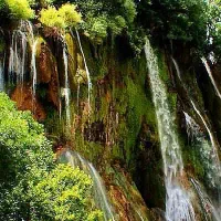 جویای کار هستم