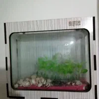 آکواریوم دیواری