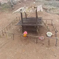 اجرای انواع آرموتوربندی قالب بندی،دیوارچینی،کف فرش