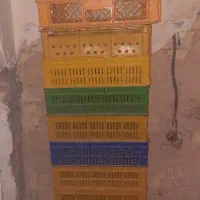 سبد|ظروف نگهدارنده، پلاستیکی، یک‌بارمصرف|کرمانشاه, |دیوار
