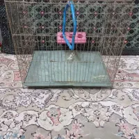 قفس پرنده
