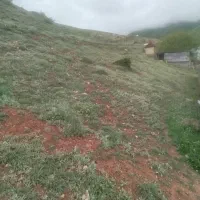 زمین مسکونی در بافت شهر