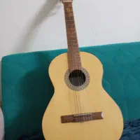 گیتار درحدنو|گیتار، بیس، امپلیفایر|شیراز, حومه شیراز|دیوار