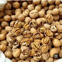 گردو درجه ۱