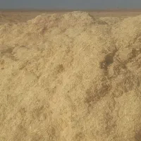 کاه کیلو ۱۳هزارتومن|عمدهفروشی|تربت جام, جامرود|دیوار