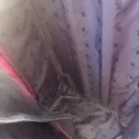 چمدان سایز بزرگ صورتی مارک پولو|کیف، کفش، کمربند|کرج, محمود آباد|دیوار