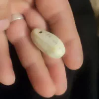 مهره مهرو محبت باز گذشت معشوقه  زبان بند