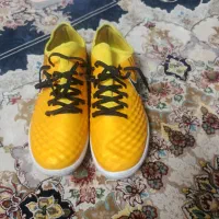 کفش فوتسال مجیستا