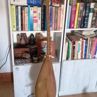 دوتار دستساز کلکسیونی|سازهای سنتی|بهشهر, |دیوار