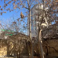 اجاره انبار یا دفتر ۳۰۰ متری مصوری دبیراعظم|اجارهٔ دفتر صنعتی، کشاورزی، تجاری|کرمانشاه, |دیوار
