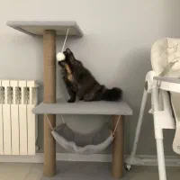 اسکرچر گربه