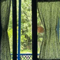 خونه قدیمی تو دل طبیعت روی بلندی لوکیشن برند|فروش خانه و ویلا|لاهیجان, لیل|دیوار