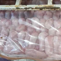 فروش محصولات قطعه بندی مرغ منجمد