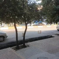 ۱۱۲متر خیابان سعدی