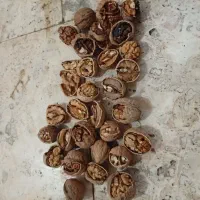 گردوی فروشی|عمده‌فروشی|آذرشهر, |دیوار