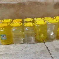 پت ۱۰|ظروف نگهدارنده، پلاستیکی، یک‌بارمصرف|همدان, |دیوار