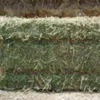 یونجه خشک درجه یک