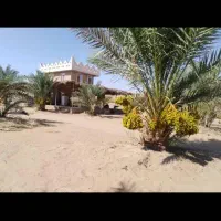 تور بارش شهابی کویر کاشان|تور و چارتر|تهران, فلسطین (میدان انقلاب)|دیوار