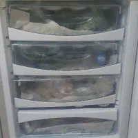 یخچال|یخچال و فریزر|آذرشهر, |دیوار