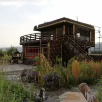 نما کاری سیمان کاری|خدمات پیشه و مهارت|تربت جام, میان جام|دیوار