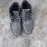 کفش چرم|کیف، کفش، کمربند|آستانه اشرفیه, |دیوار