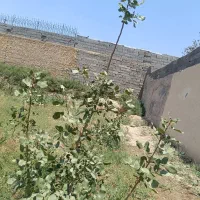 اجاره کارگاه