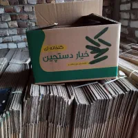 کارتن نو و تمیز