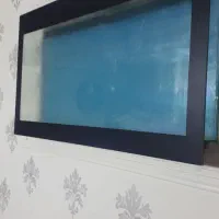 آکواریم دیواری