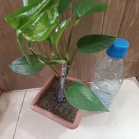 نیاز به راهنمایی برا عوص