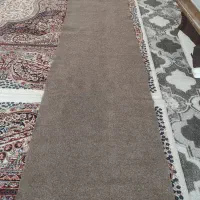 موکت کناره|موکت|قم, قلعه کامکار|دیوار