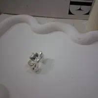 انگشتر رنگ ثابت|بدلیجات|اصفهان, فرح آباد|دیوار