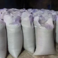 فروش گندم دیم