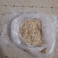 فروش جو تمیز ، هم شش پر ،وهم دو پر