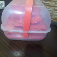 ظرف مسافرتی