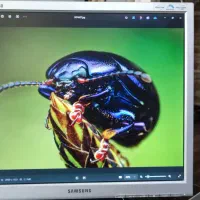 مانیتور ال ای دی سامسونگ (با امکان تخفیف)