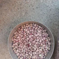 لوبیا چیتی محلی درجه یک تازه، کالپوش