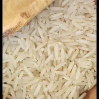 برنج طارم پر محصول